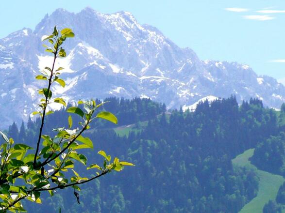 Aussicht vom Haus zur Dreitorspitze