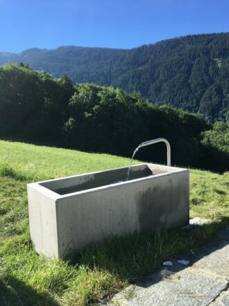 Wassertrog
