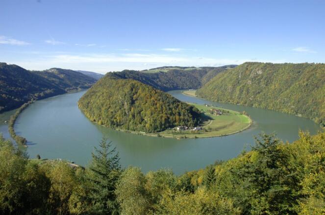 Donauschlinge Schlögen