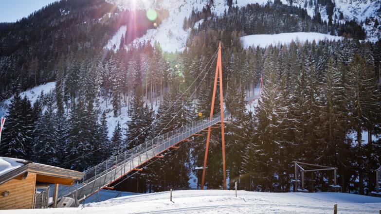 Baumzipfelweg & Golden Gate Bridge