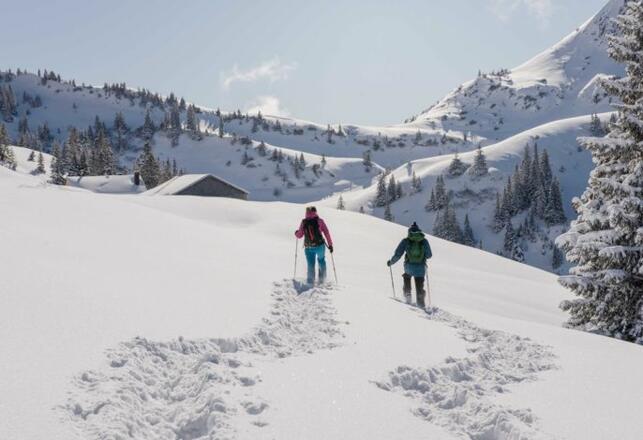 Schneeschuwanderung im Winterwunderland