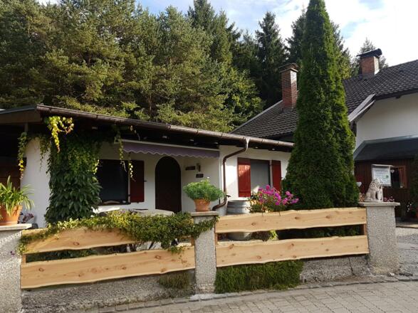 Blick über den Zaun