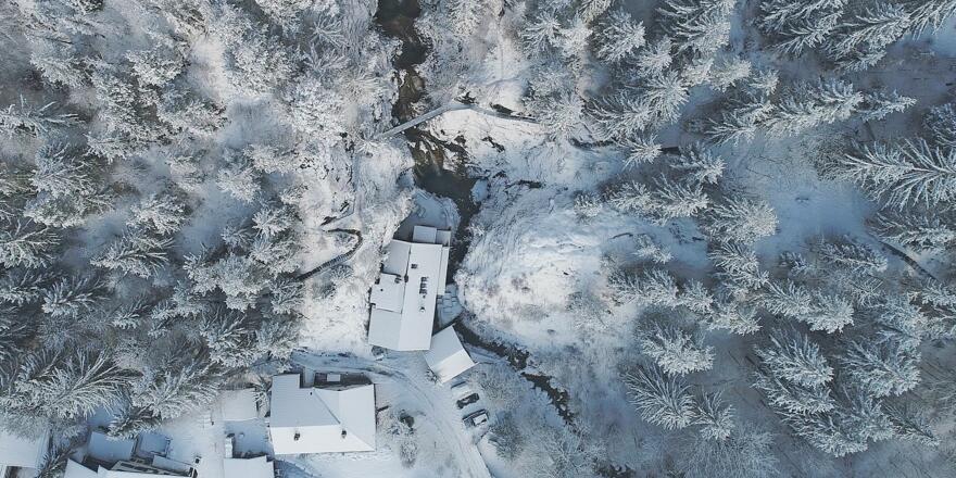 Aus der Vogelperspektive