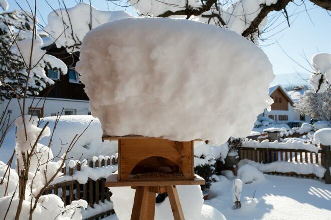 Ferienwohnung "Vogel"