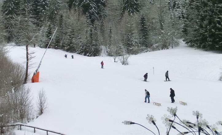 Skipiste-Rodeln-Skialpin