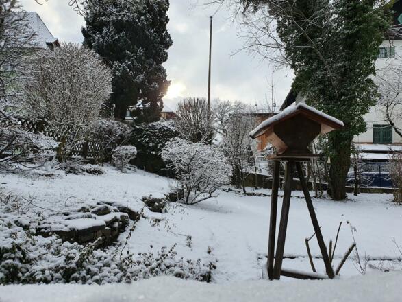 Winter Gartenblick