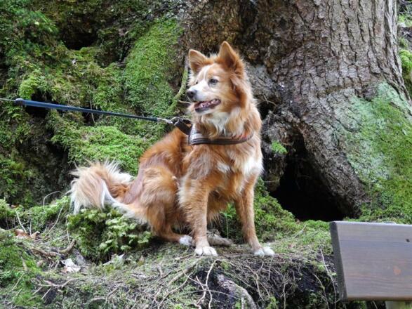 Was ist alles so aufregend