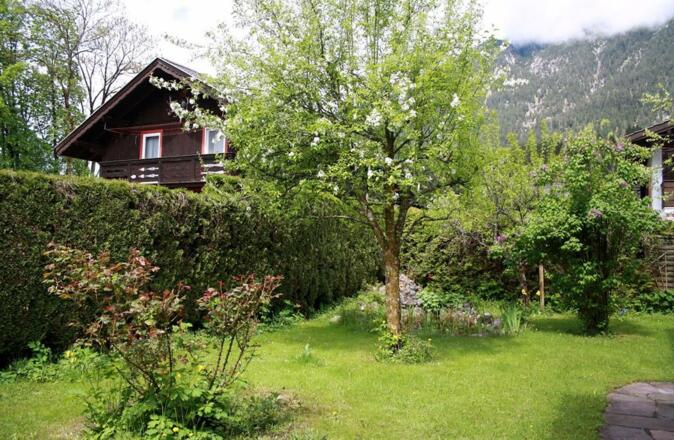 Garten mit Apfelbaum