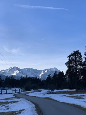 Föhrenheide Blick Zugspitze