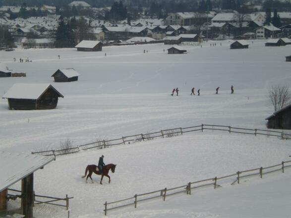 Reiten-Langlaufen