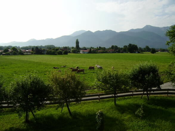 Ausblick