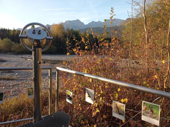 Fernrohr Bad Vigaun Lebensader Taugl