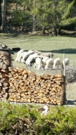 Haus Betz Aussicht Eingangsseite