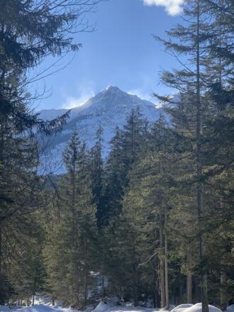 Österreich Berg Daniel
