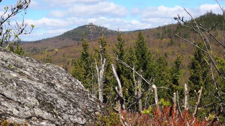Blick Lusen Großalmeyerschloss