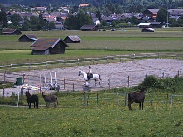 Reiten4