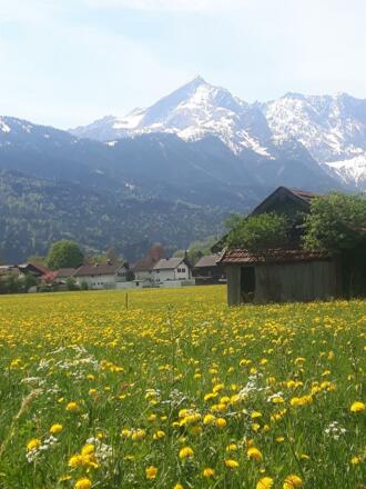Frühling - Blick auf die Alpspitze-