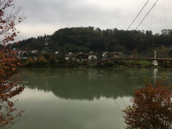 Blick über die Donau