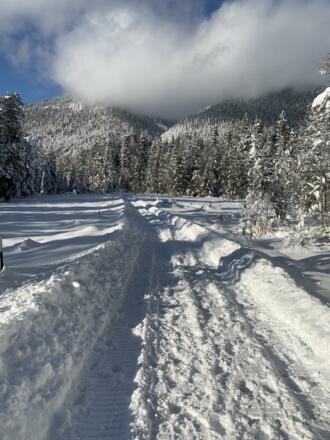 Grießen Richtung Plansee