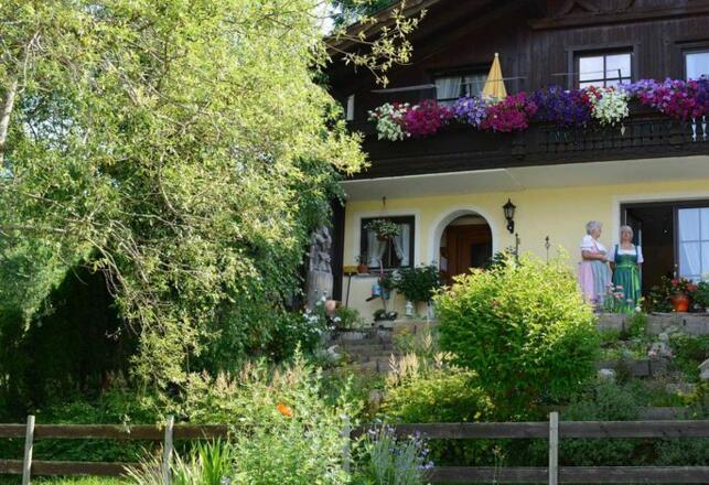 Aussenansicht im Sommer