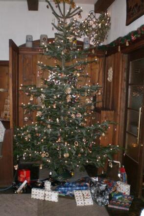 unser Weihnachtsbaum