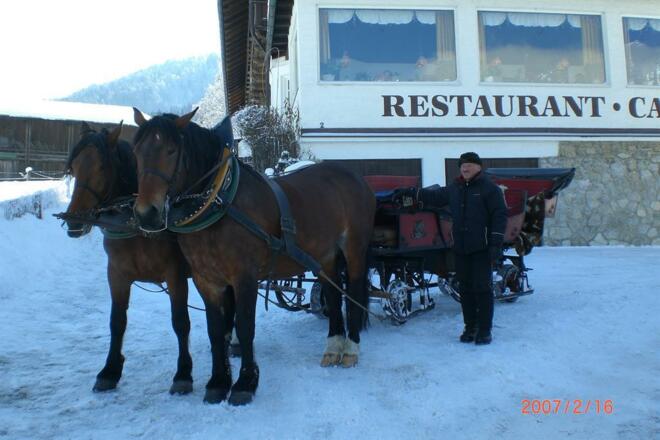 Pferde-Schlittenfahrt