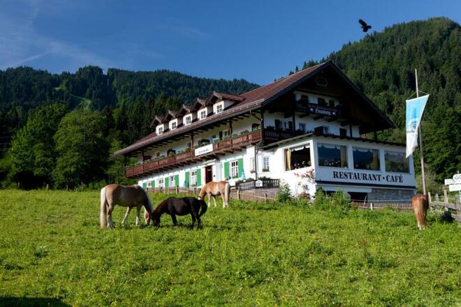 Pferde und Ponys vorm Hotel