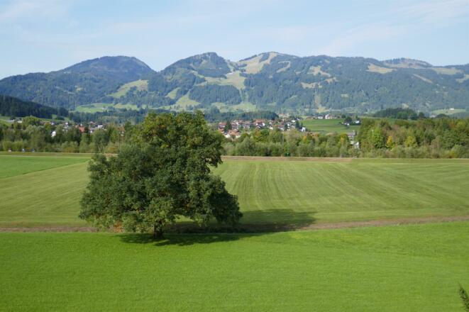 Blick von Wohnung 1
