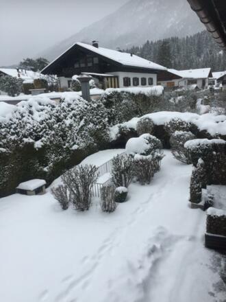 Garten im Winter IMG-20191018-WA0004