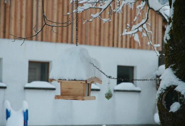 Idyllische Winterlandschaft im Edelweiss