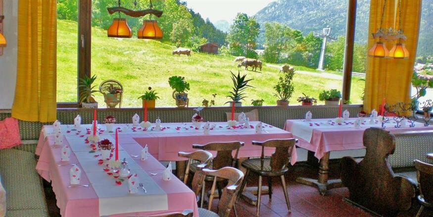 Blick vom Restaurant ins Grüne