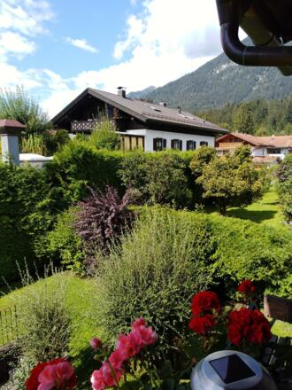 Garten im Sommer IMG_20200903_120057