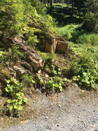 #8 Cache (Sattele Runde)