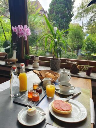 Frühstücksblick in den Garten