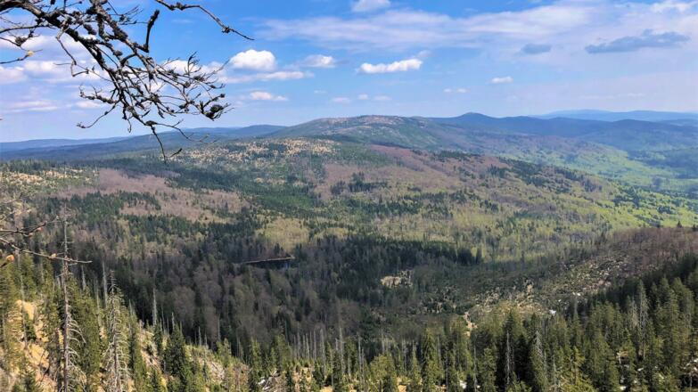 Rachelseeblick