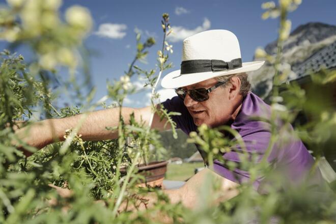 Der Chef des Hauses im Garten