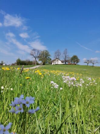 04_froehliche-aussicht_allgaeude