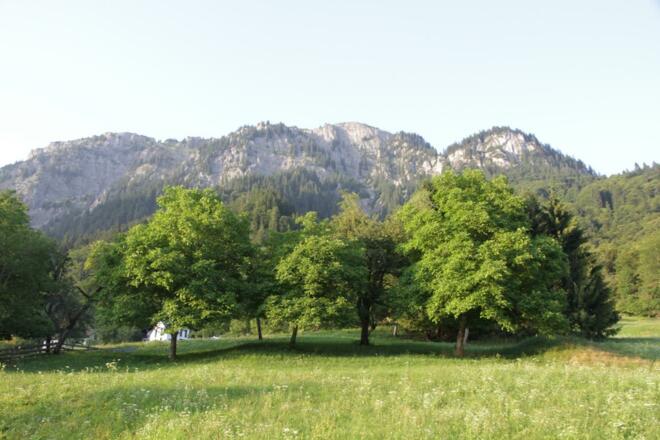 Sicht von der Terrasse nach Norden