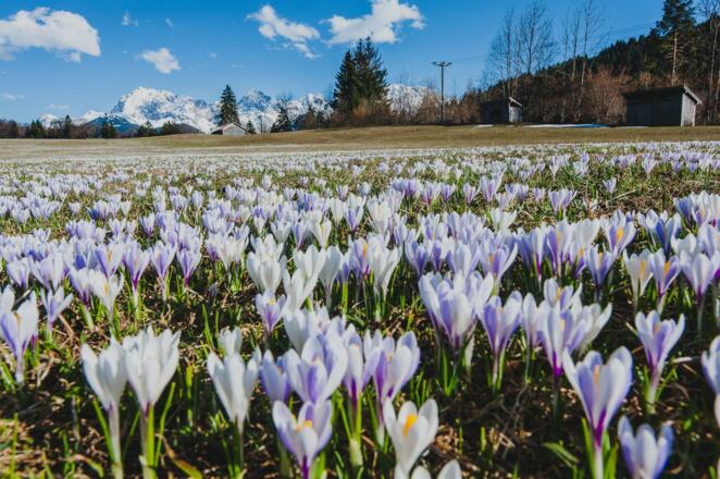 Gaestehaus Riesch_2560px_011