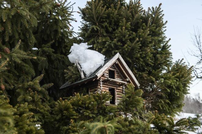 Landhaus Bärenwald Winter Montafon