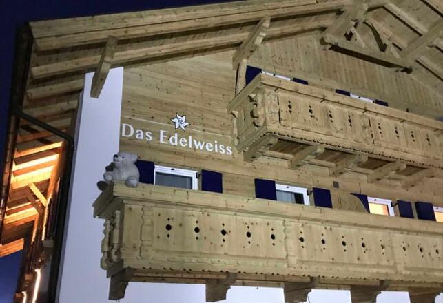 Eisbären im Edelweiss