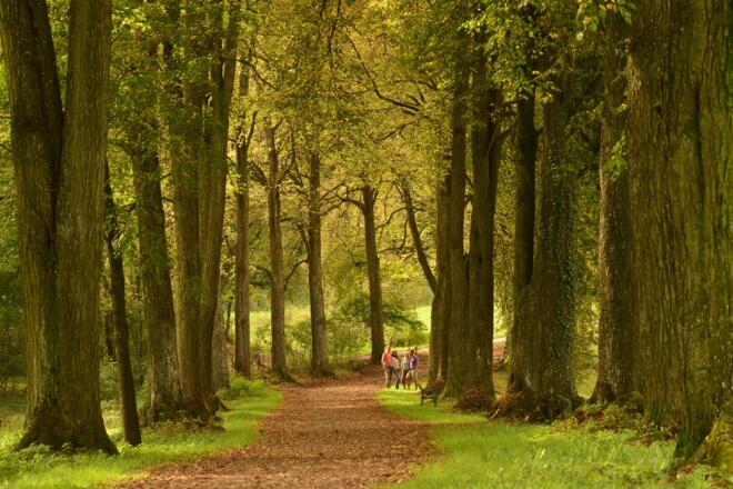 Matzenpark Allee