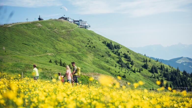 Bergsommer Schmittenhöhe