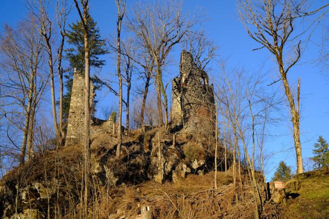 Ruine Flohenstein