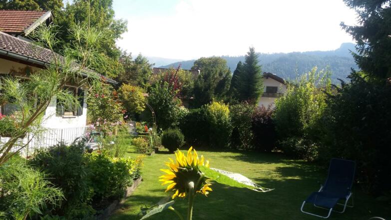 Alleestr. Garten 10.09.20