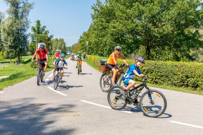 Donauradweg in Au an der Donau