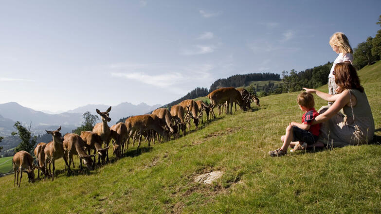 Wildpark Aurach