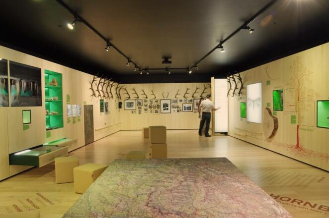Das Museum lädt zum Entdecken ein, es geht hier besonders um den Ahornboden, die Jagd und die Geschichte in Hinterriß