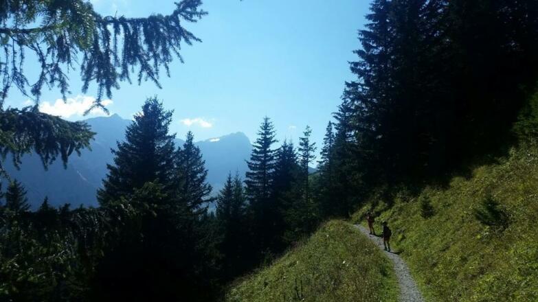 Wandern