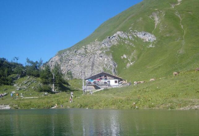 Traualpe- Ausflug im Sommer
